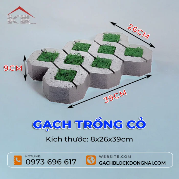 Gạch trồng cỏ 8x26x39